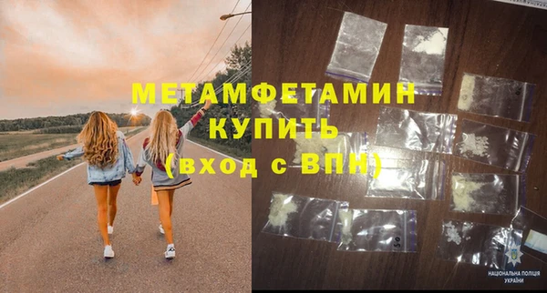 дживик Ельня