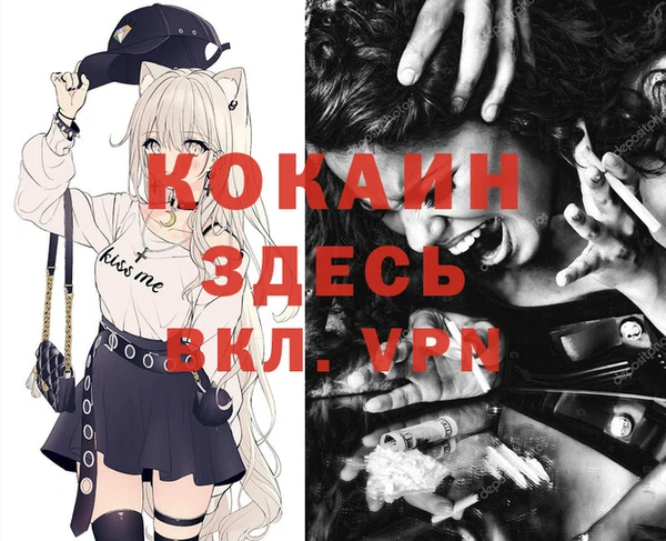 герыч Пересвет