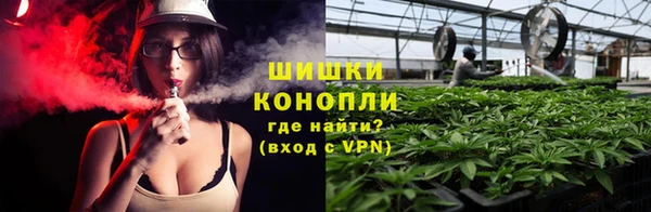 амф Переславль-Залесский