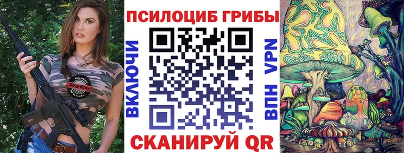 Псилоцибиновые грибы мухоморы  как найти   Бавлы 